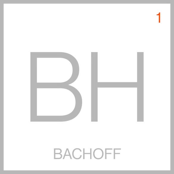 Bachoff Studio